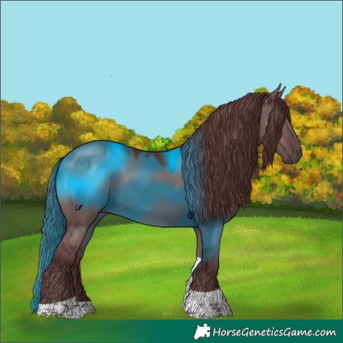 Horse Color:Chocolate Grullo Tobiano 