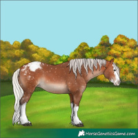 Horse Color:White Spotted Silver Bay Splash Snowflake Varnish