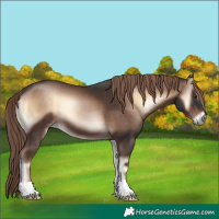 Horse Color:Liver Red Onyx 