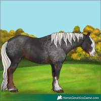 Horse Color:Liver Chestnut Mushroom Sabino Rabicano 