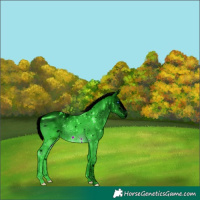 Horse Color:ERROR: UNKNOWN ANOMALY