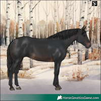 Horse Color:Brown 