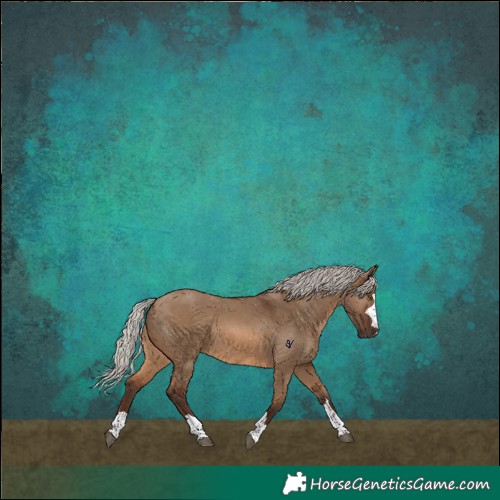 Horse Color:Silver Bay Dun 