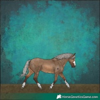 Horse Color:Silver Bay Dun