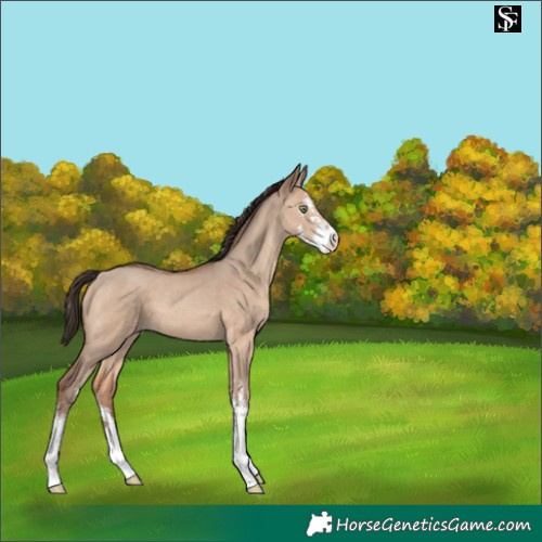 Horse Color:Sable Champagne Dun Sabino 
