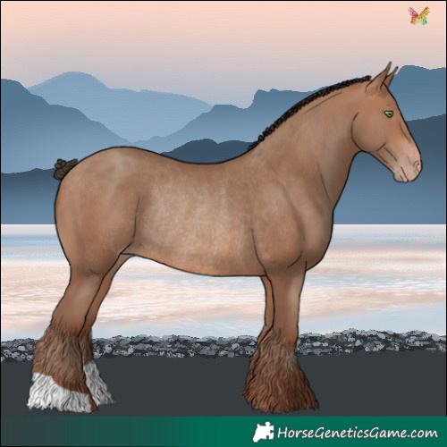 Horse Color:Sable Champagne Rabicano 