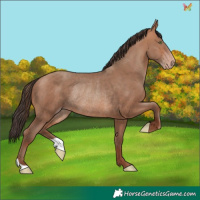 Horse Color:Sable Champagne Rabicano 