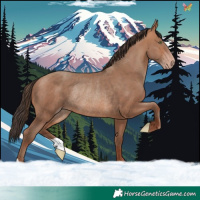 Horse Color:Sable Champagne Rabicano
