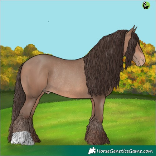 Horse Color:Sable Champagne Appaloosa Rabicano