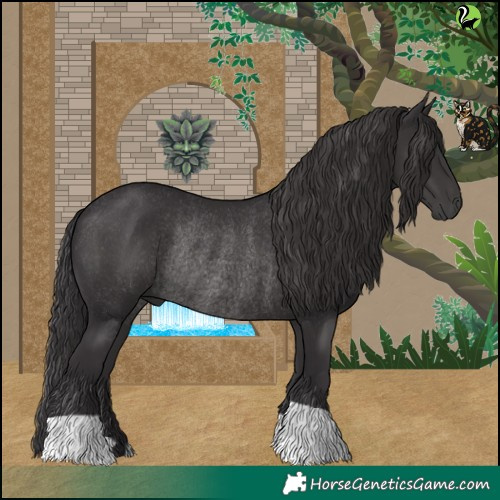 Horse Color:Smoky Black Rabicano 
