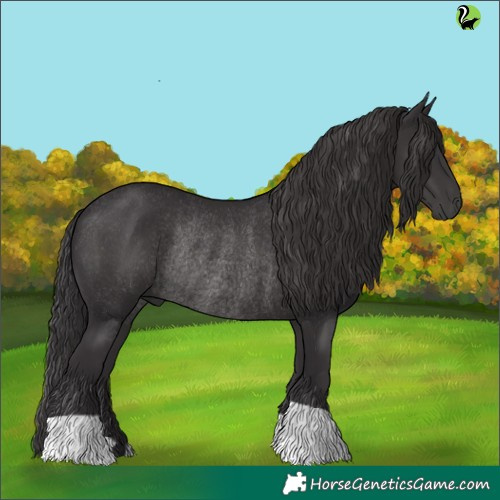 Horse Color:Smoky Black Rabicano 