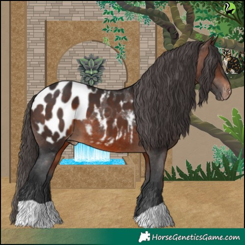 Horse Color:Brown Blanket 