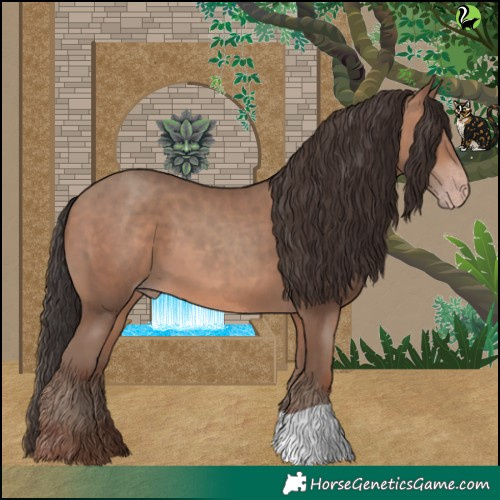 Horse Color:Sable Champagne 