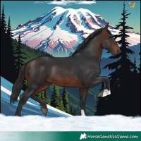 Horse Color:Brown Rabicano 
