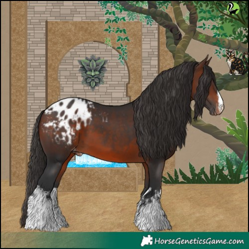 Horse Color:White Spotted Brown Varnish 