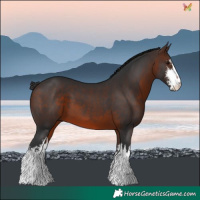 Horse Color:White Spotted Brown