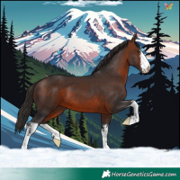 Horse Color:White Spotted Brown 