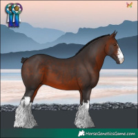 Horse Color:White Spotted Brown
