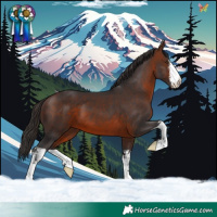 Horse Color:White Spotted Brown 