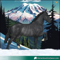 Horse Color:Black Rabicano 