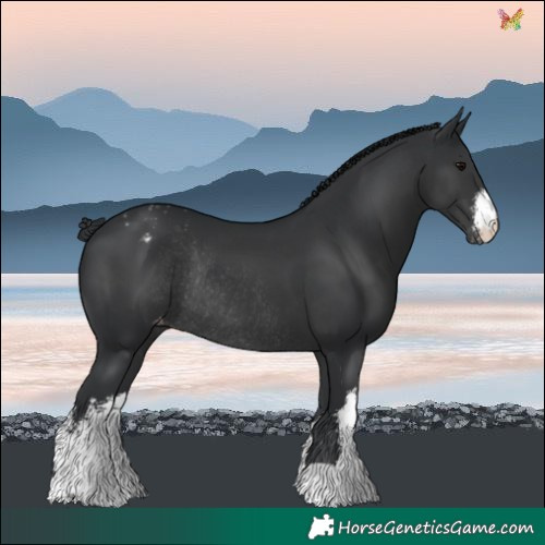 Horse Color:White Spotted Black Varnish Rabicano 