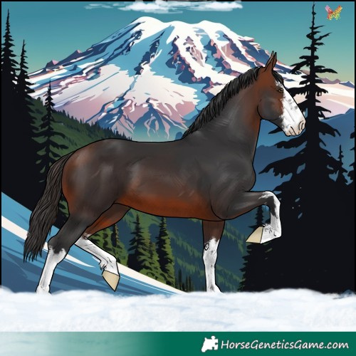 Horse Color:White Spotted Brown 