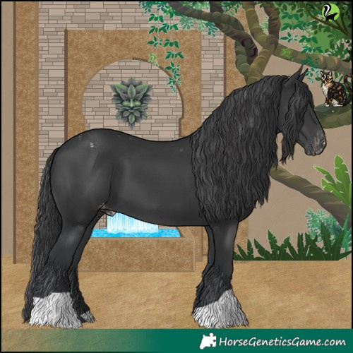 Horse Color:Black Varnish 