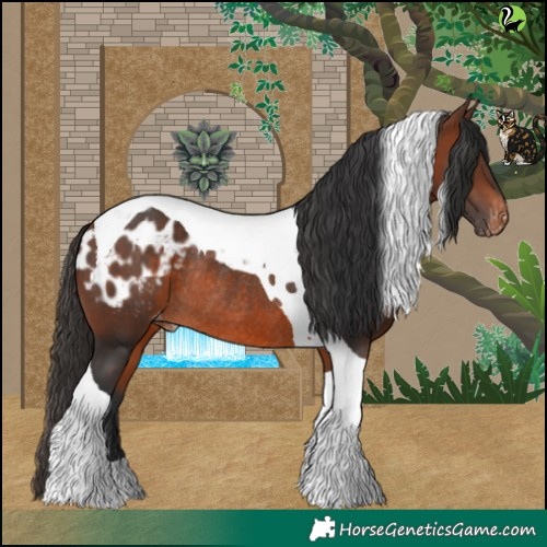 Horse Color:Brown Tobiano Blanket Rabicano 