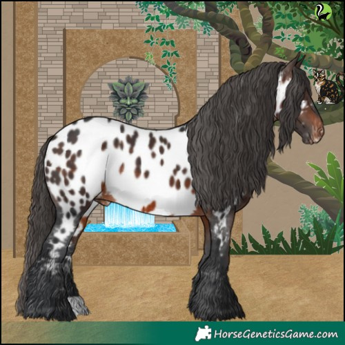 Horse Color:Brown Near Leopard Rabicano 