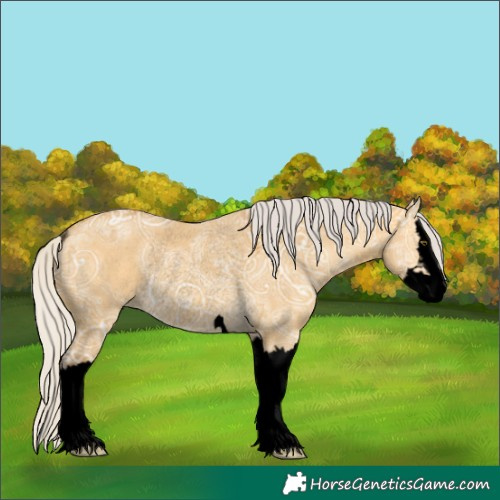Horse Color:Unknown 