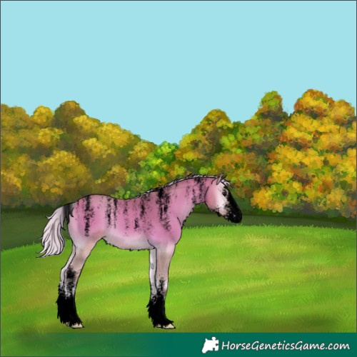 Horse Color:Powder White Void Silver Buckskin Onyx Sabino 