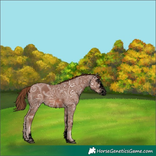 Horse Color:Void Chestnut Ice Sabino Rabicano 