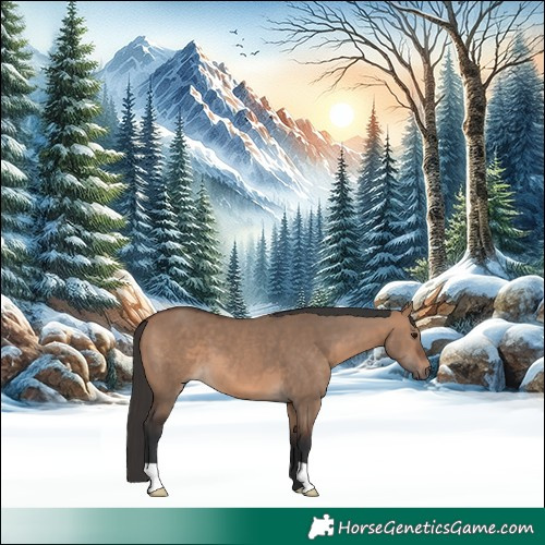 Horse Color:Brown Dun 