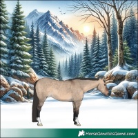 Horse Color:Brown Dun 