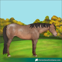 Horse Color:Sable Champagne