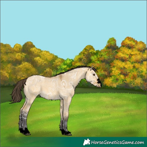 Horse Color:Void Buckskin Ice Dun 
