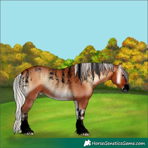 Horse Color:Powder White Void Silver Bay Onyx Rabicano 