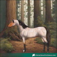 Horse Color:Bay Roan 