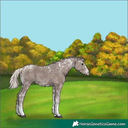 Horse Color:White Spotted Silver Black Ice Tobiano