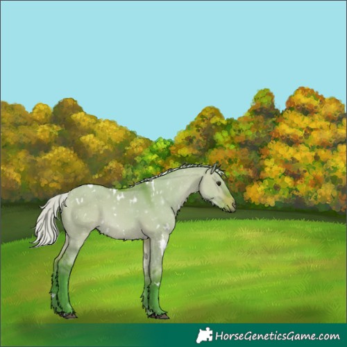 Horse Color:Watercolor White Spotted Silver Brown Dun