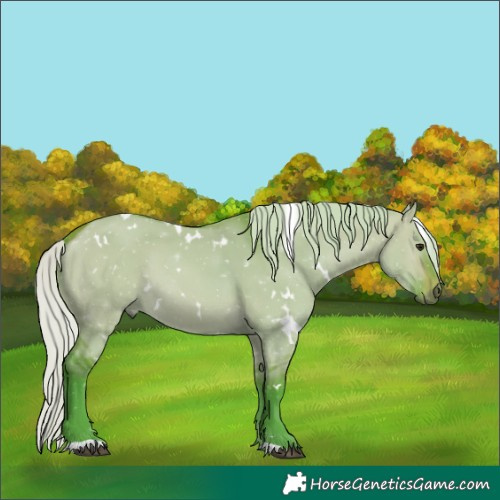 Horse Color:Watercolor White Spotted Silver Brown Dun 