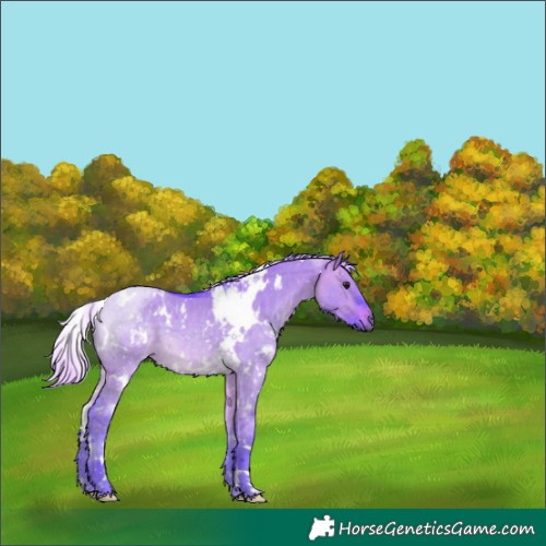 Horse Color:Watercolor White Spotted Silver Brown Dun 
