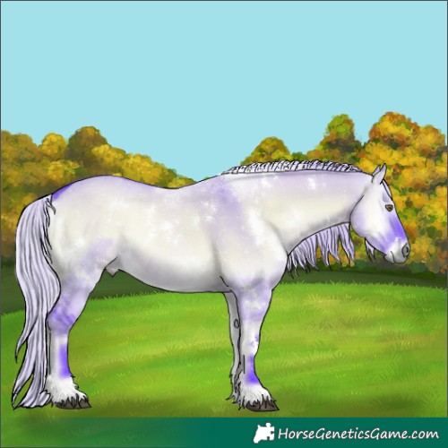 Horse Color:Watercolor White Spotted Silver Grullo Chinchilla Onyx 