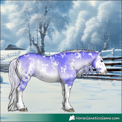 Horse Color:Watercolor White Spotted Silver Blue Onyx Chinchilla Sabino Splash Rabicano 