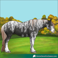 Horse Color:Powder White Liver Chestnut 