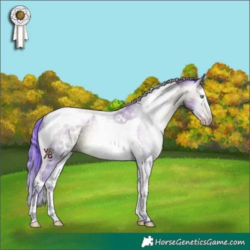 Horse Color:Gray Watercolor Amber Champagne Splash Tobiano Appaloosa Rabicano 