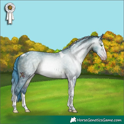 Horse Color:Gray Watercolor Amber Champagne Splash Tobiano Rabicano 