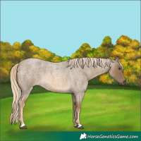 Horse Color:Chocolate Palomino Roan Mushroom 