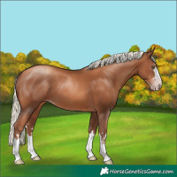 Horse Color:Gray Gold Champagne Mushroom 