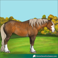 Horse Color:Chocolate Palomino Mushroom 